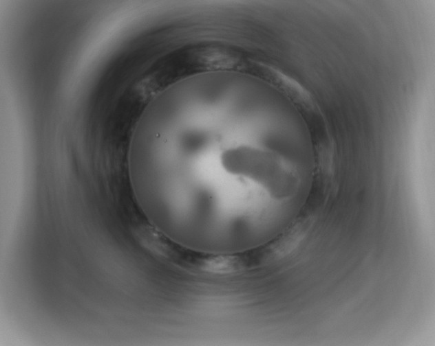 X0000113050761200909031332