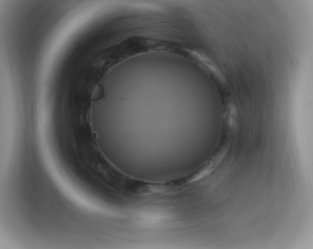 X0000113050763200909031332