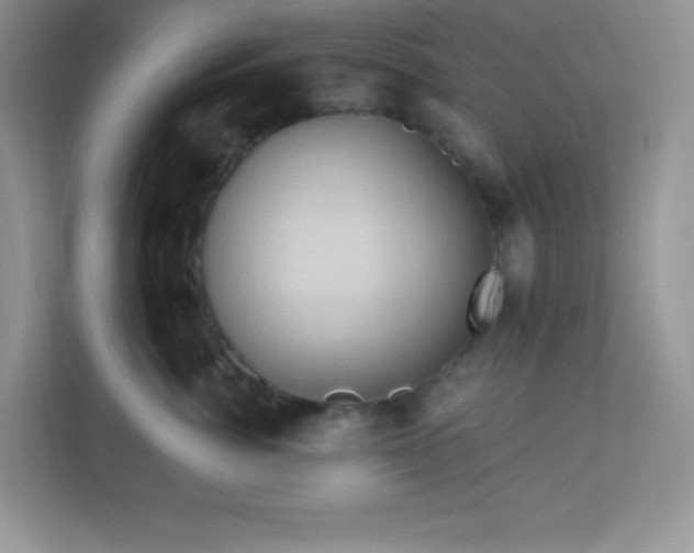 X0000113050764200909031332