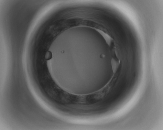 X0000113050766200909031332