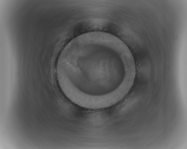 X0000113050769200909031331