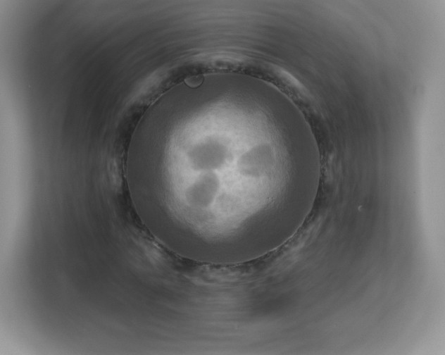 X0000113050774200909031331