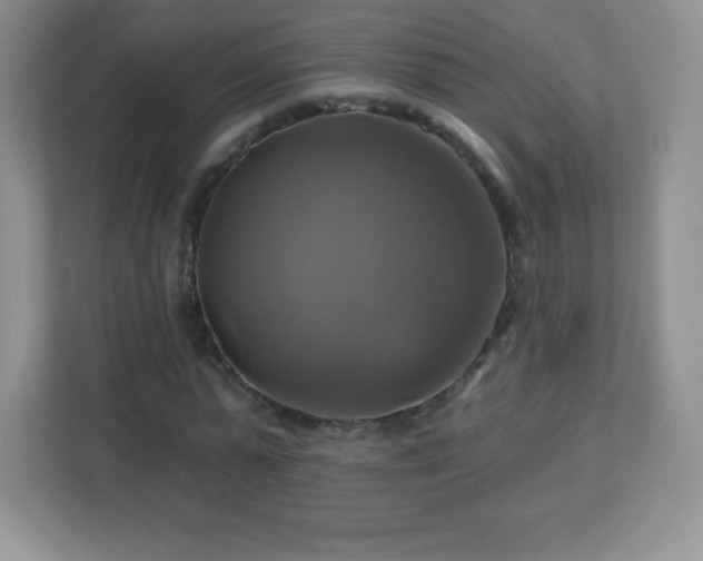 X0000113050775200909031331