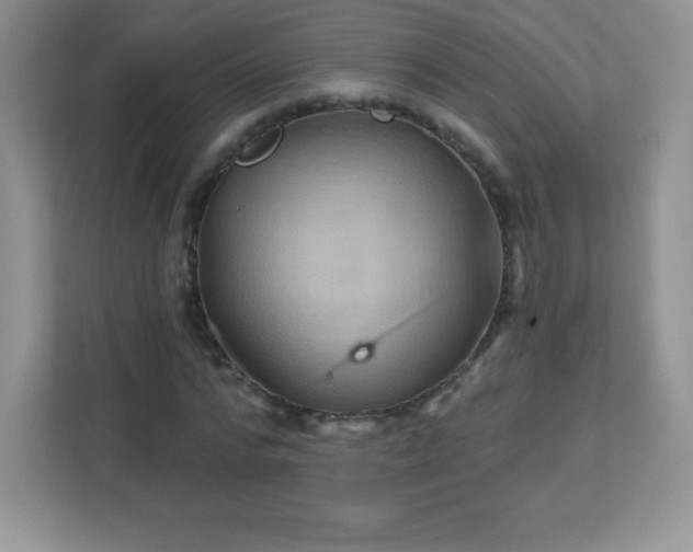 X0000113050776200909031331