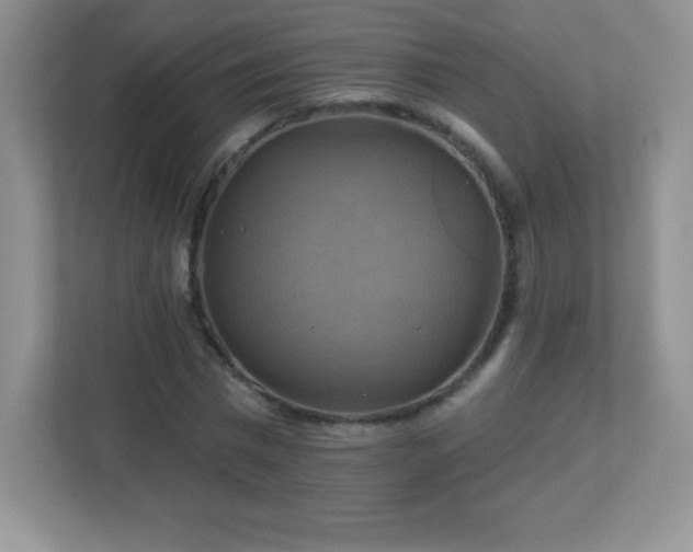 X0000113050777200909031331