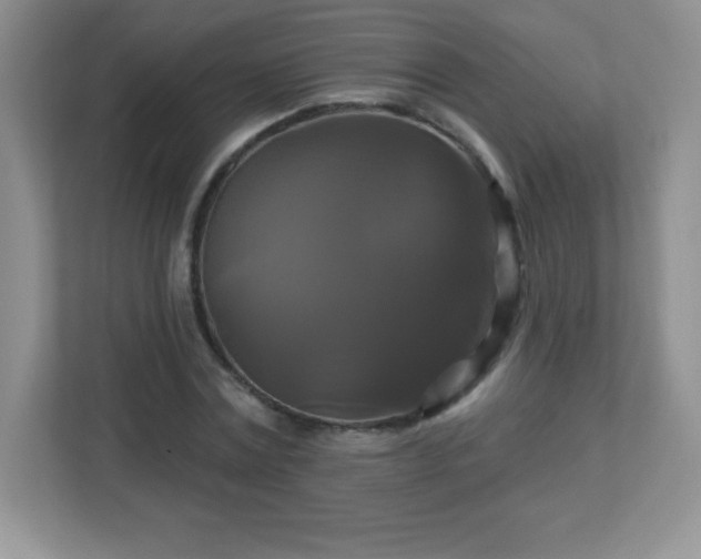 X0000113050779200909031331