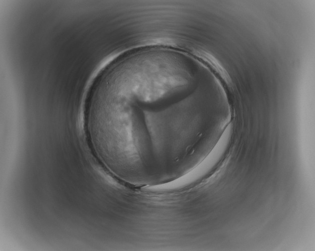 X0000113050780200909031331