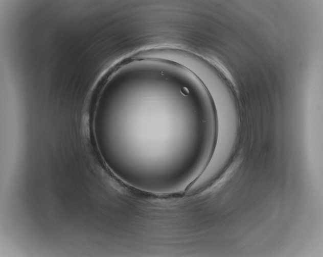 X0000113050781200909031331