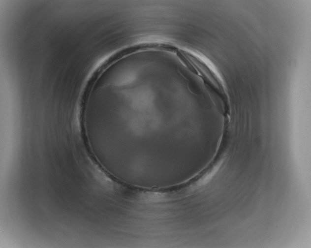 X0000113050783200909031331