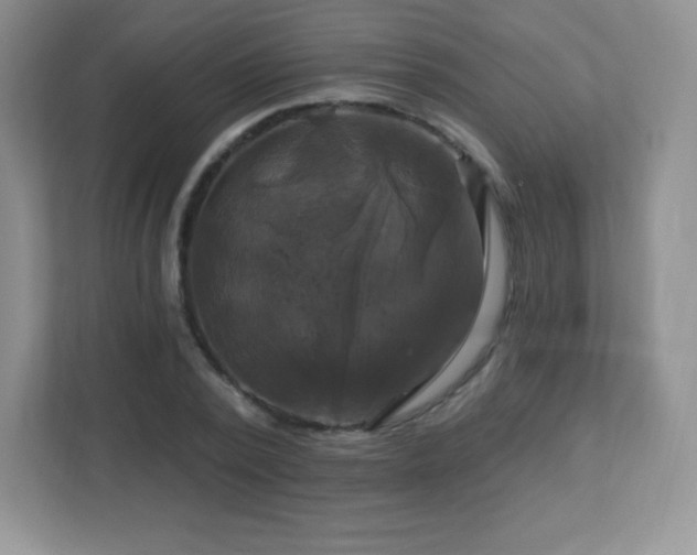 X0000113050784200909031331