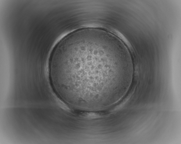 X0000113050787200909031331