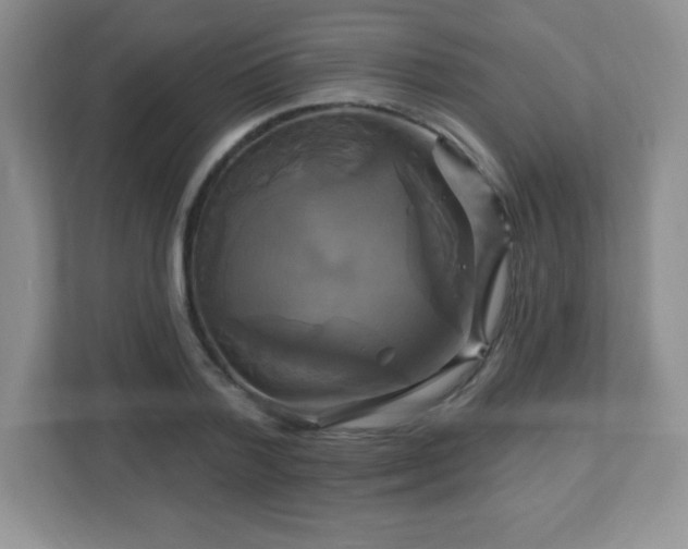 X0000113050788200909031331