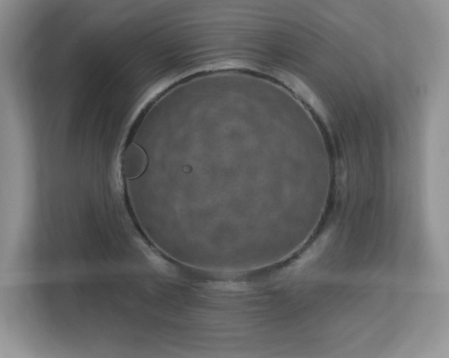 X0000113050789200909031331