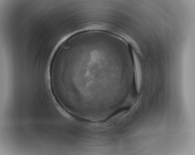 X0000113050792200909031331