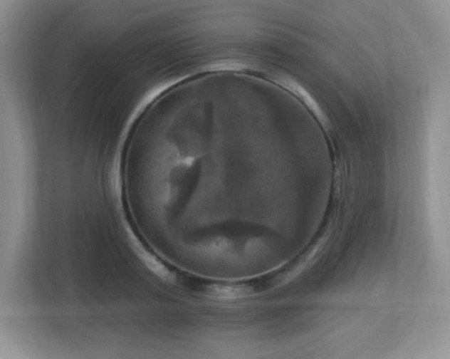 X0000113050795200909031331