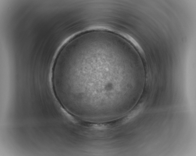 X0000113050799200909031331