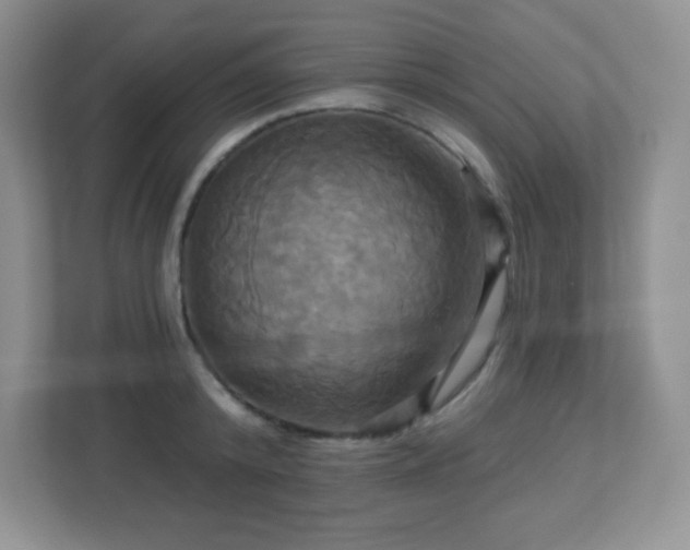 X0000113050800200909031331