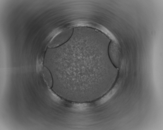 X0000113050801200909031331