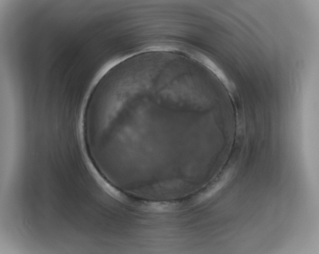 X0000113050803200909031331