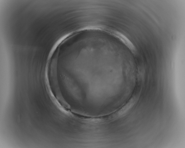 X0000113050804200909031331