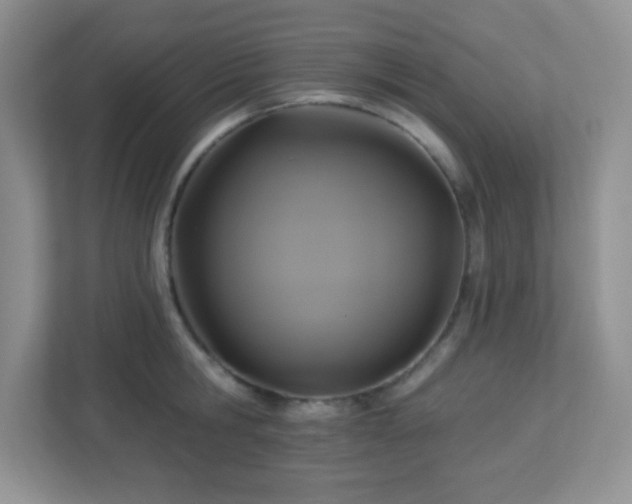 X0000113050806200909031331