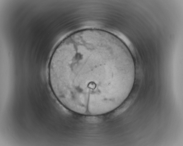 X0000113050807200909031331