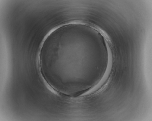 X0000113050808200909031331