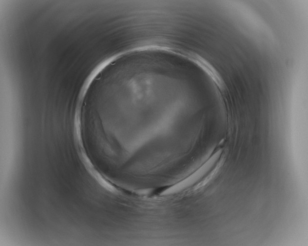 X0000113050812200909031330