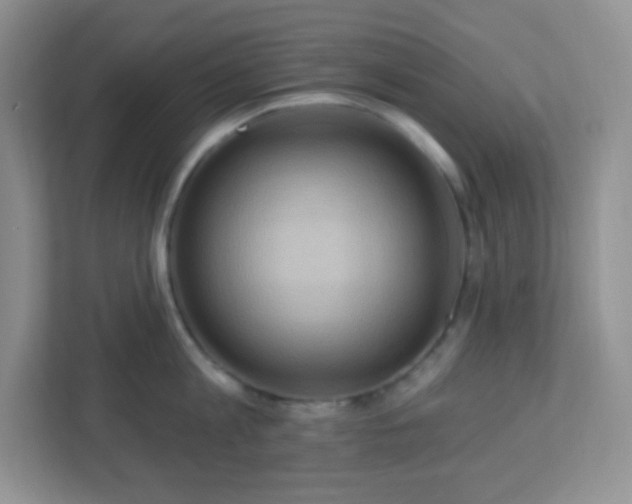 X0000113050813200909031330