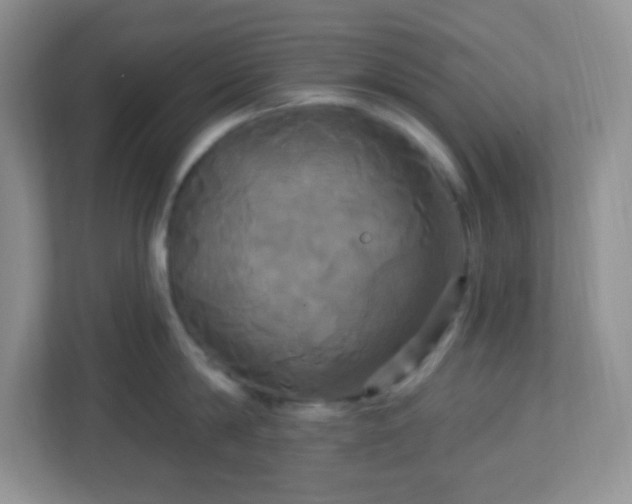 X0000113050814200909031330