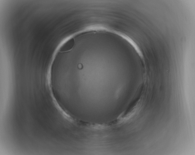 X0000113050815200909031330