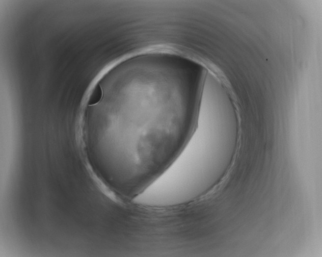 X0000113050816200909031330