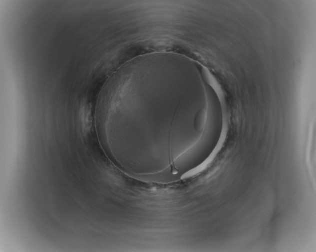 X0000113050818200909031330