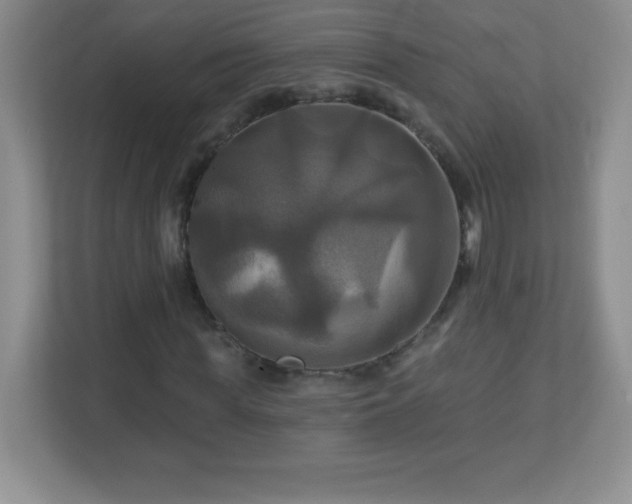 X0000113050819200909031330