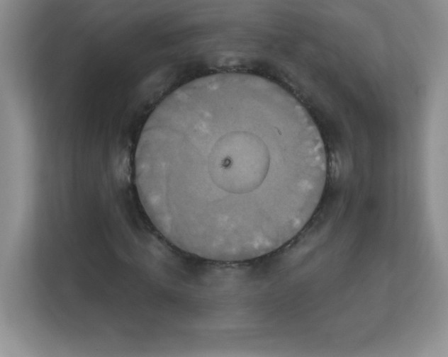 X0000113050820200909031330