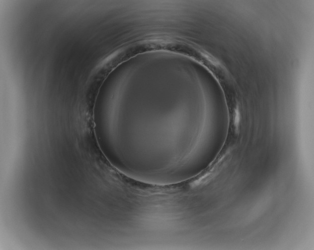 X0000113050822200909031330