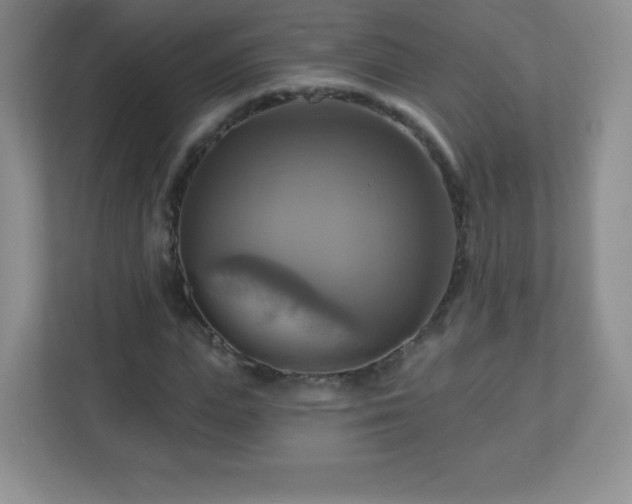 X0000113050823200909031330