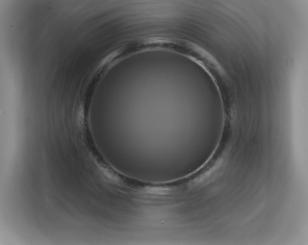 X0000113050825200909031330