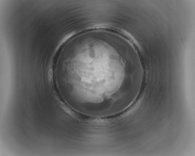 X0000113050827200909031330