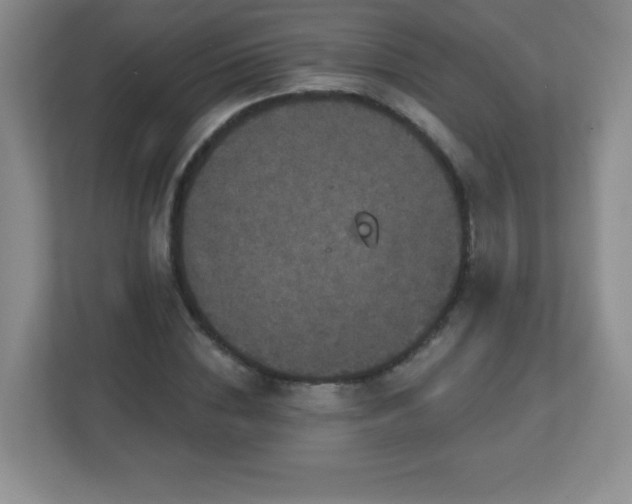 X0000113050828200909031330