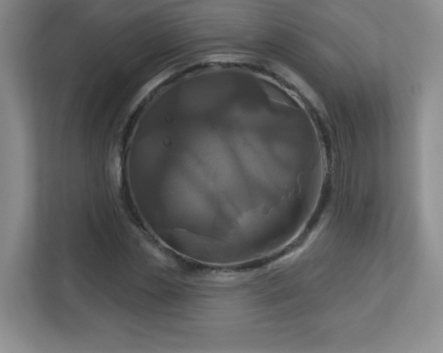 X0000113050829200909031330