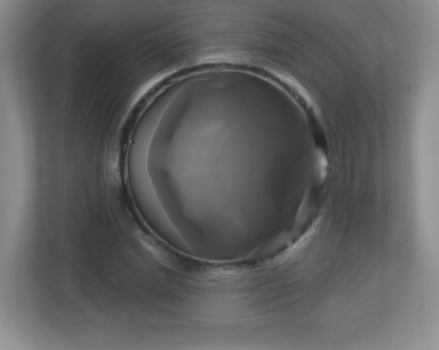 X0000113050830200909031330