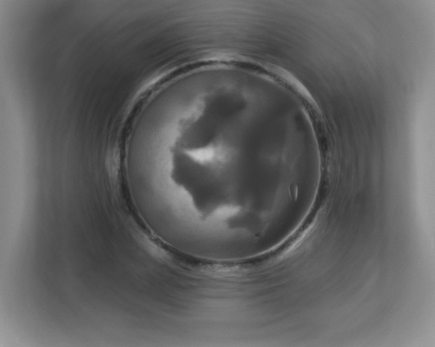 X0000113050831200909031330