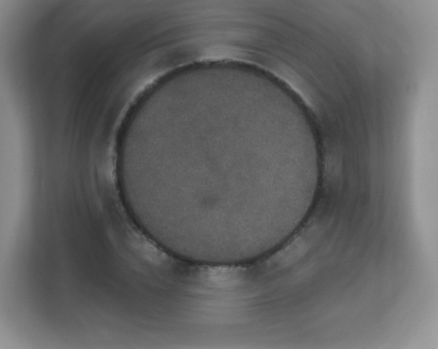 X0000113050832200909031330