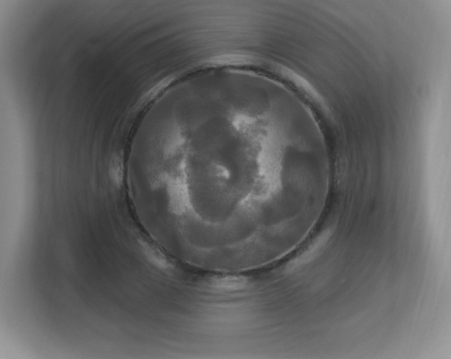 X0000113050833200909031330