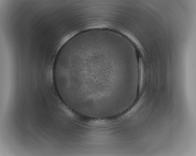 X0000113050834200909031330