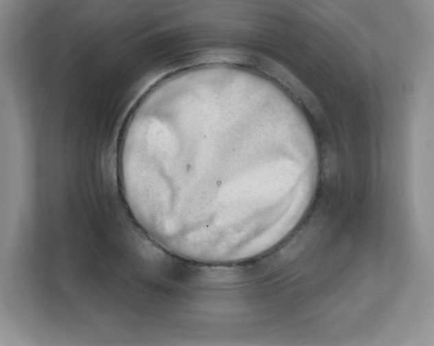 X0000113050836200909031330