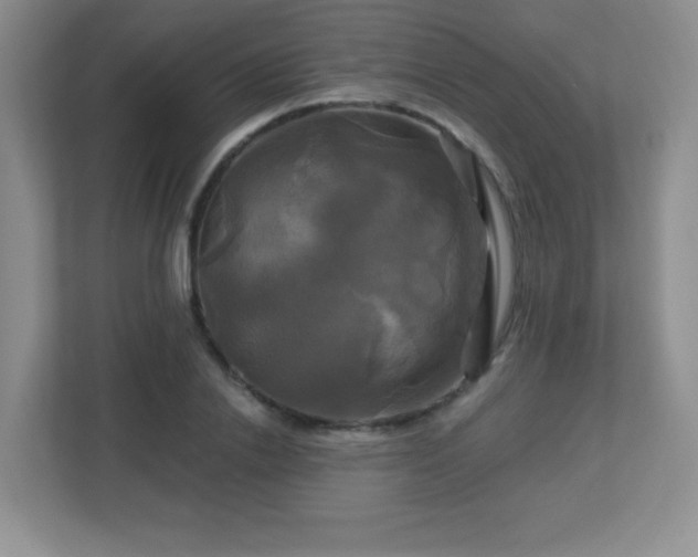 X0000113050838200909031330