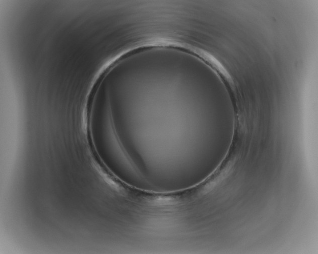 X0000113050839200909031330