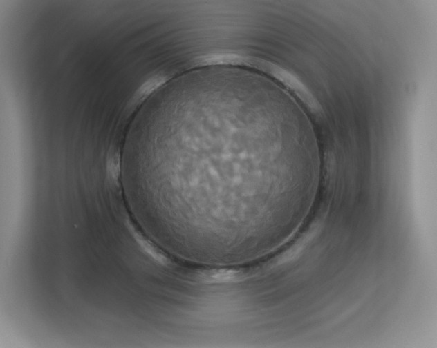 X0000113050841200909031330